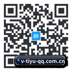 安卓掌上数据终端 二维码